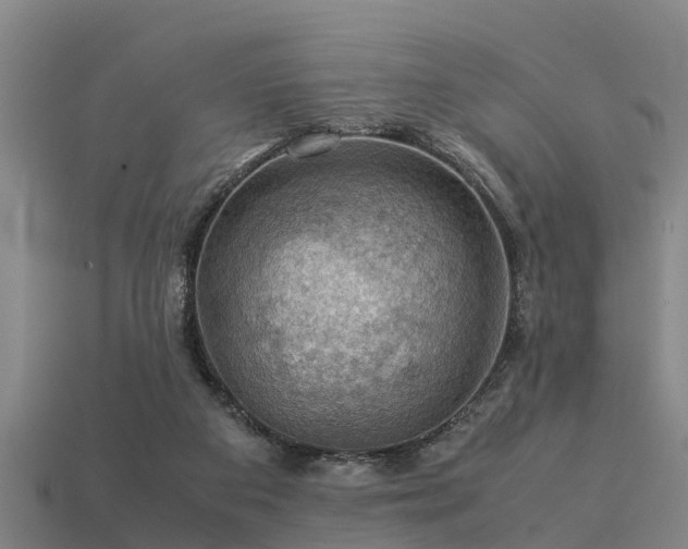 X0000113590113200909251144