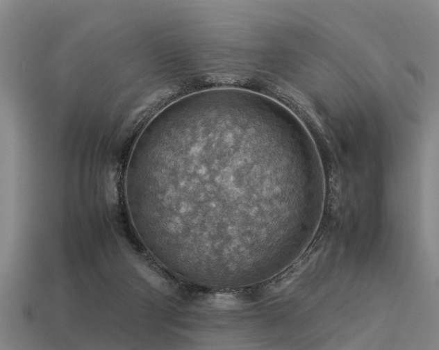 X0000113590114200909251144