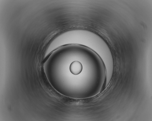 X0000113590116200909251144