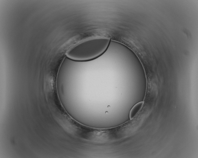 X0000113590117200909251144