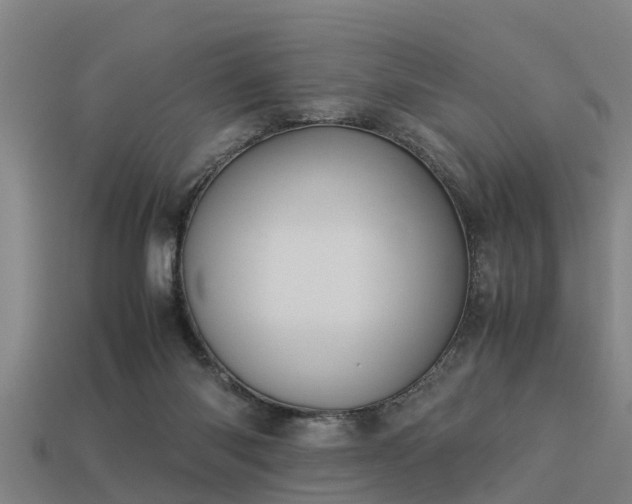 X0000113590118200909251144