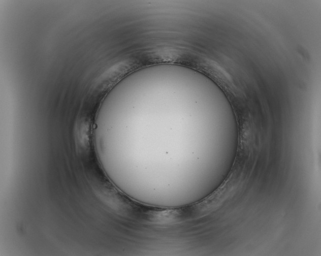 X0000113590122200909251144