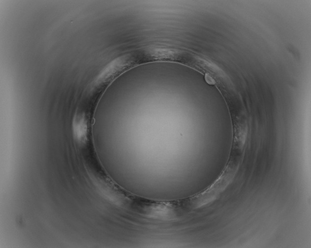 X0000113590124200909251144