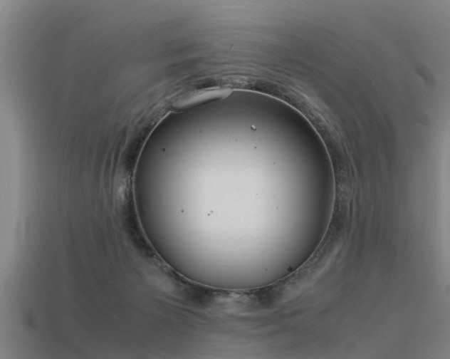 X0000113590125200909251144