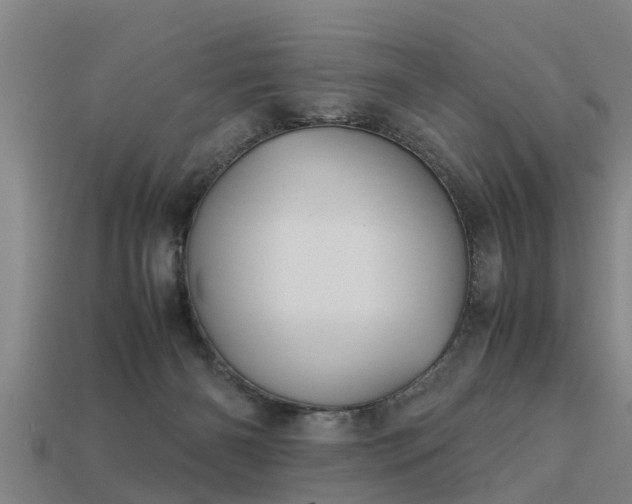 X0000113590126200909251144