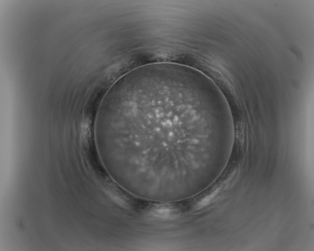 X0000113590127200909251144