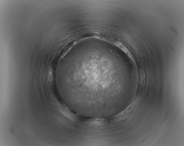 X0000113590128200909251144