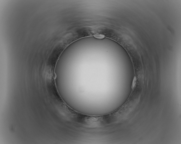 X0000113590129200909251143