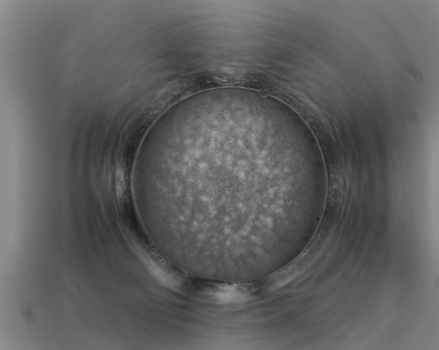 X0000113590130200909251143