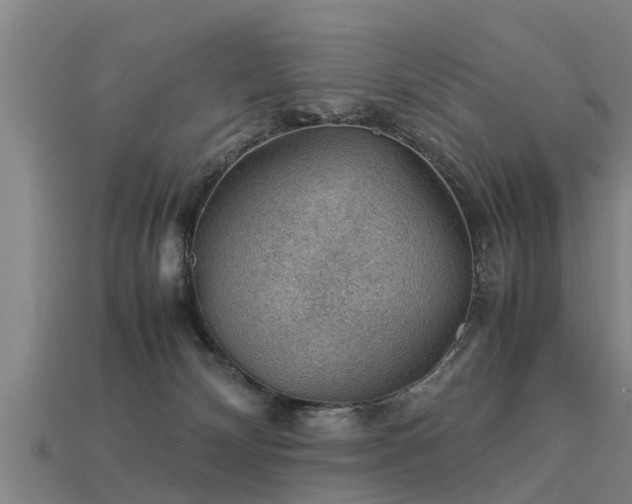 X0000113590132200909251143