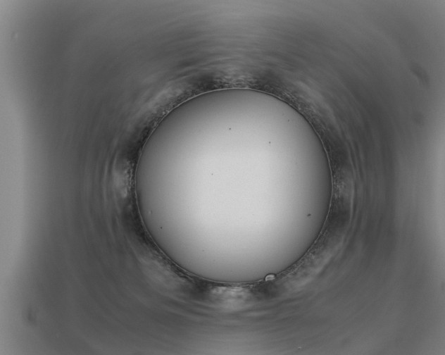 X0000113590133200909251143