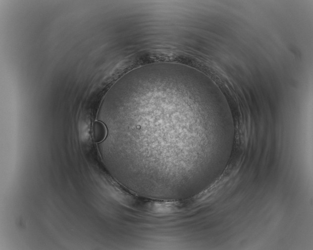 X0000113590134200909251143