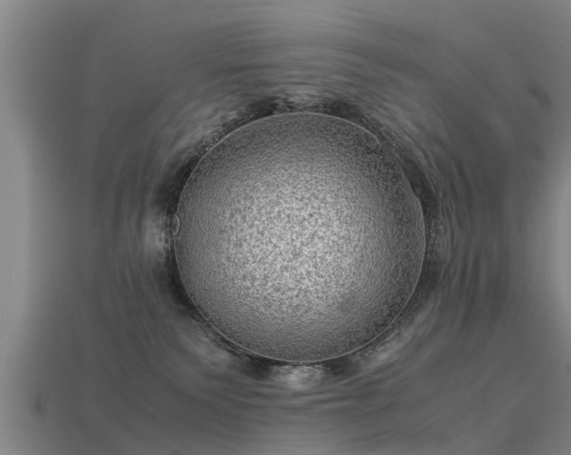 X0000113590135200909251143