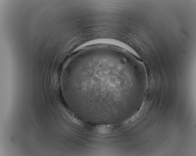 X0000113590136200909251143