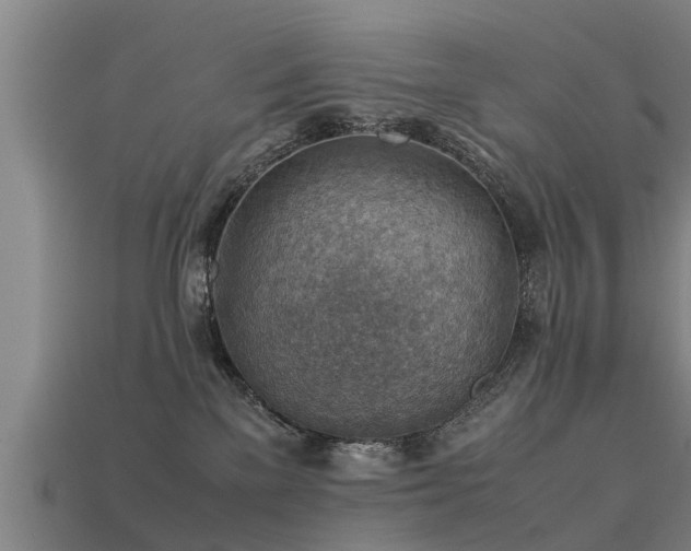 X0000113590137200909251143