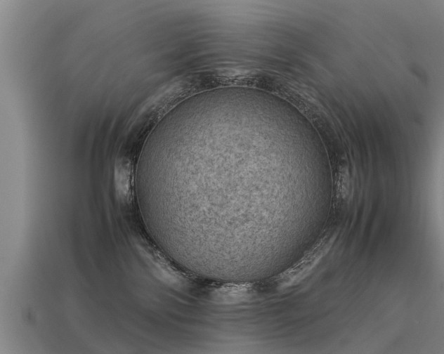 X0000113590138200909251143