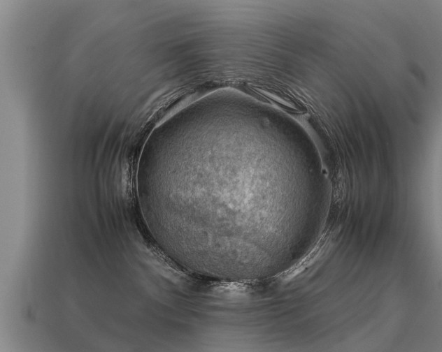 X0000113590140200909251143