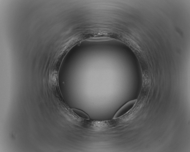 X0000113590141200909251143