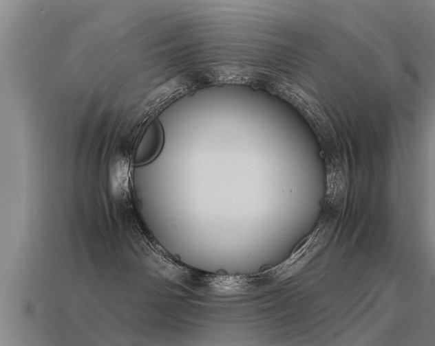 X0000113590142200909251143