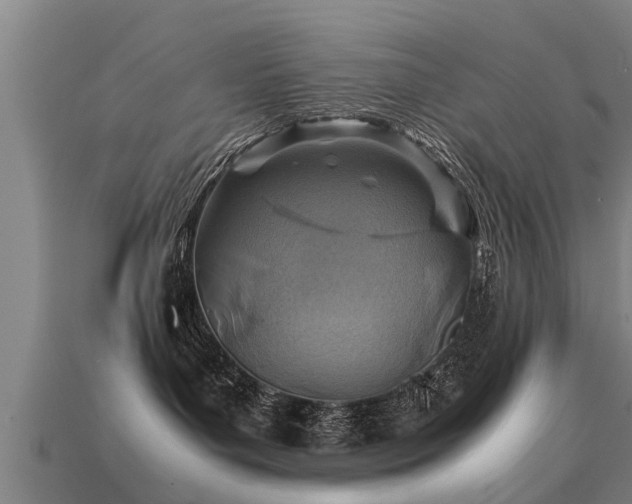 X0000113590143200909251143