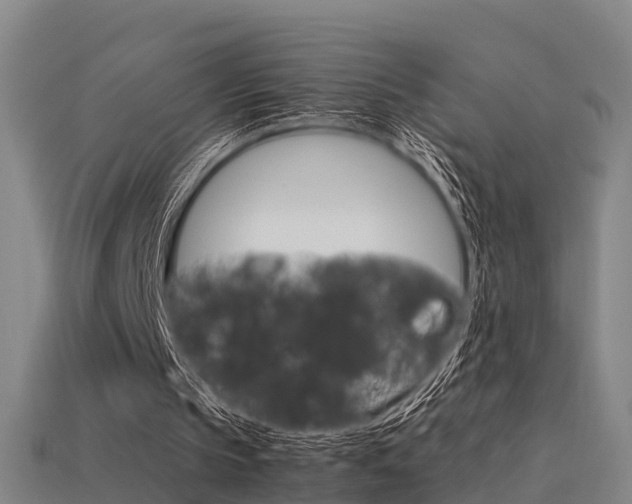 X0000113590145200909251143