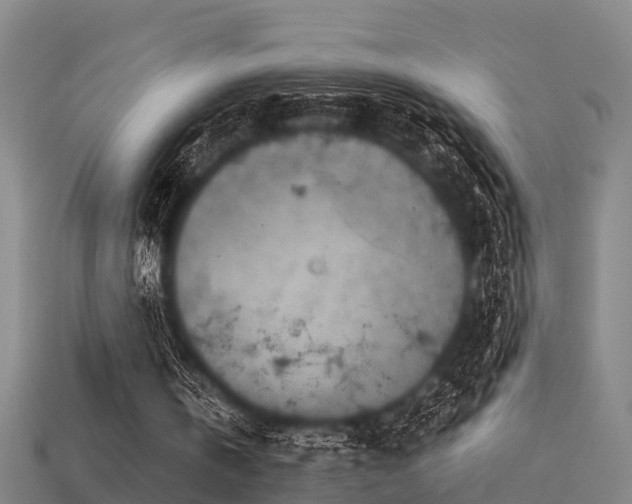 X0000113590146200909251143