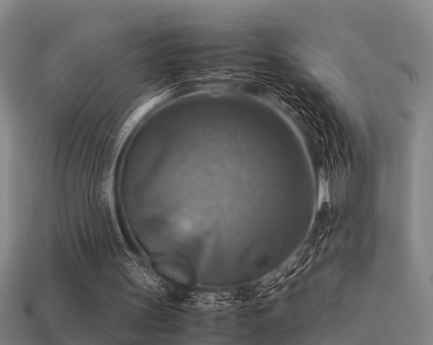 X0000113590147200909251143