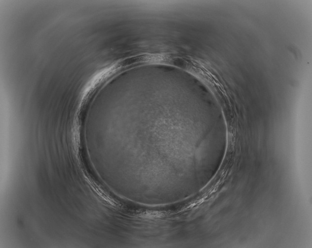 X0000113590149200909251143