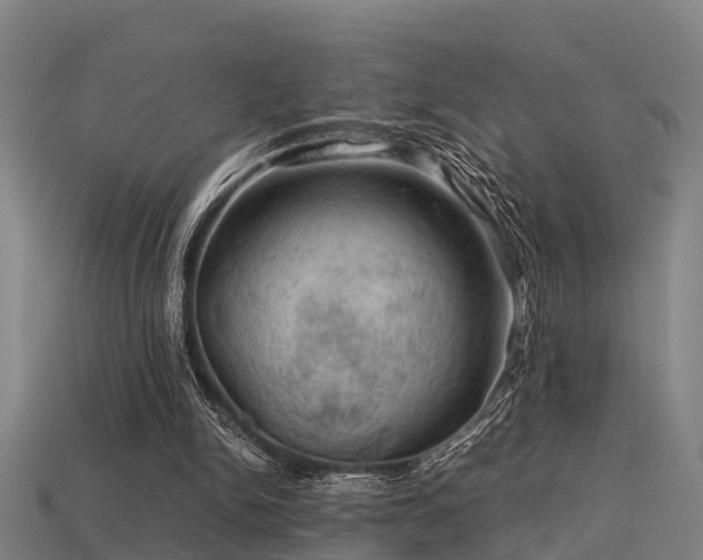 X0000113590150200909251143