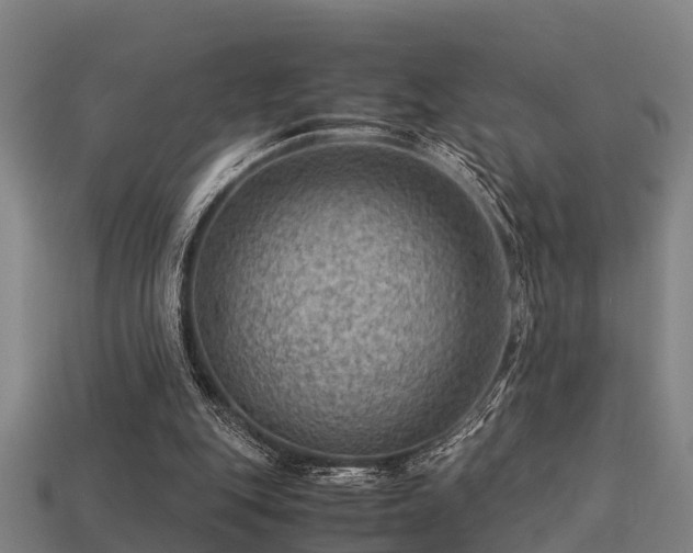 X0000113590151200909251143