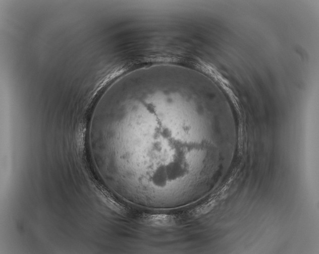 X0000113590153200909251143