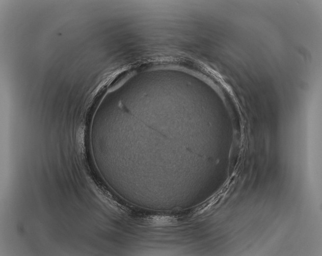 X0000113590154200909251143