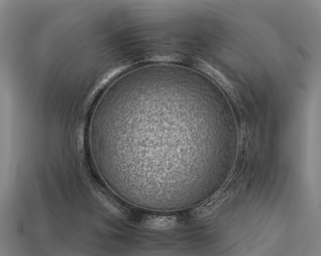 X0000113590155200909251143