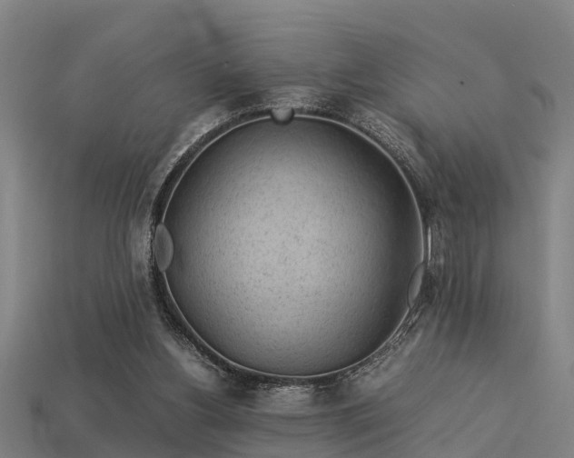 X0000113590156200909251143