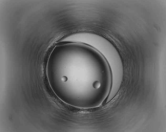 X0000113590158200909251143