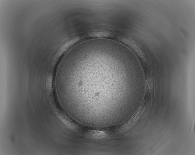 X0000113590159200909251143