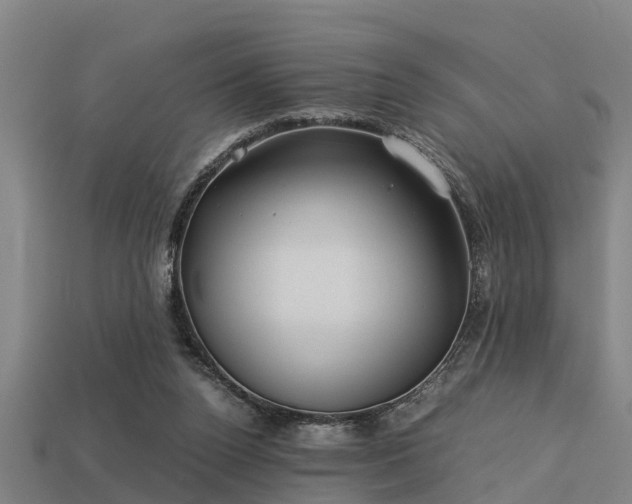 X0000113590160200909251143