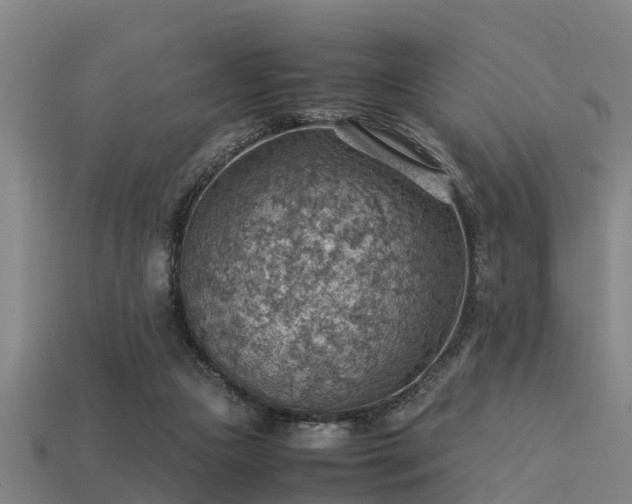 X0000113590161200909251143