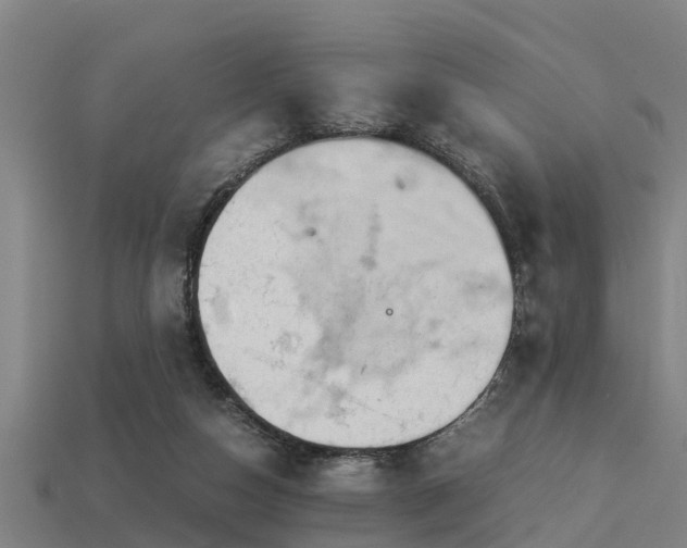 X0000113590162200909251143