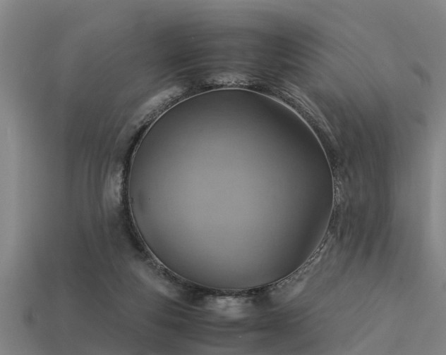 X0000113590163200909251143