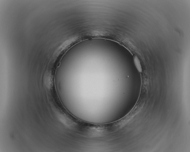 X0000113590164200909251143