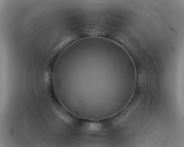 X0000113590165200909251143