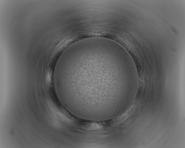 X0000113590166200909251143