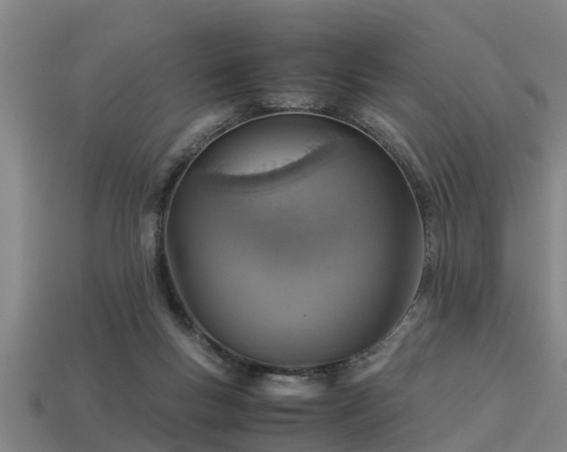 X0000113590167200909251143