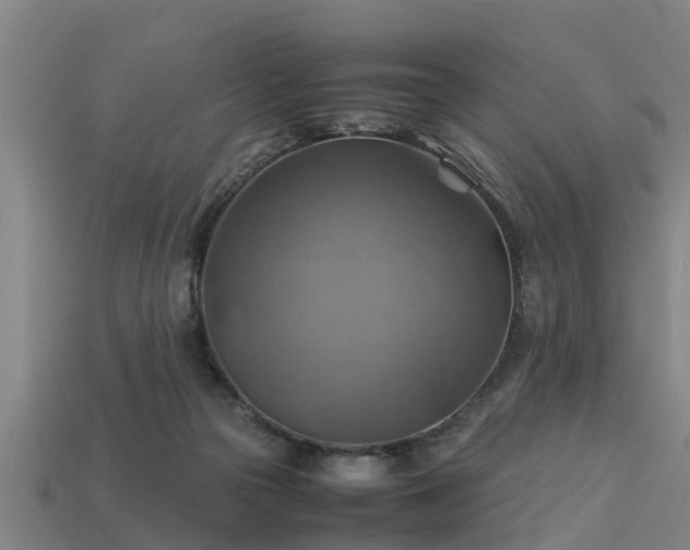 X0000113590169200909251143