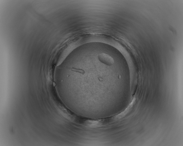 X0000113590170200909251143