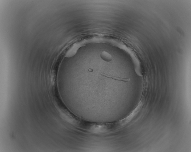 X0000113590174200909251143