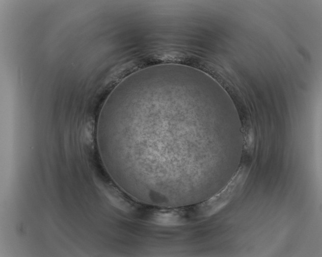 X0000113590175200909251143