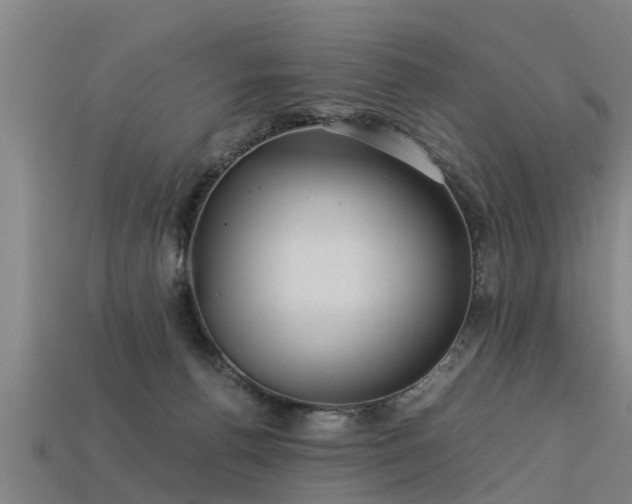 X0000113590176200909251143