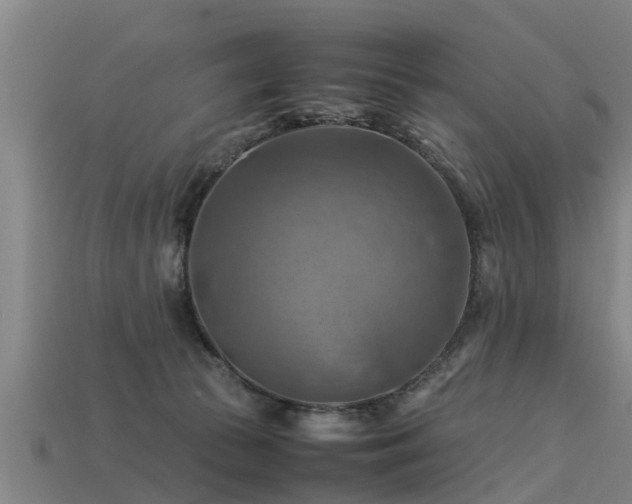 X0000113590177200909251143